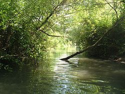 טיול שנתי כיתות י”א – רמת הגולן והסביבה by zahava - Ourboox.com