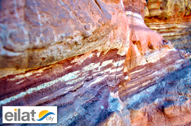 טיול לאילת – כיתות י”א by vsyc - Ourboox.com