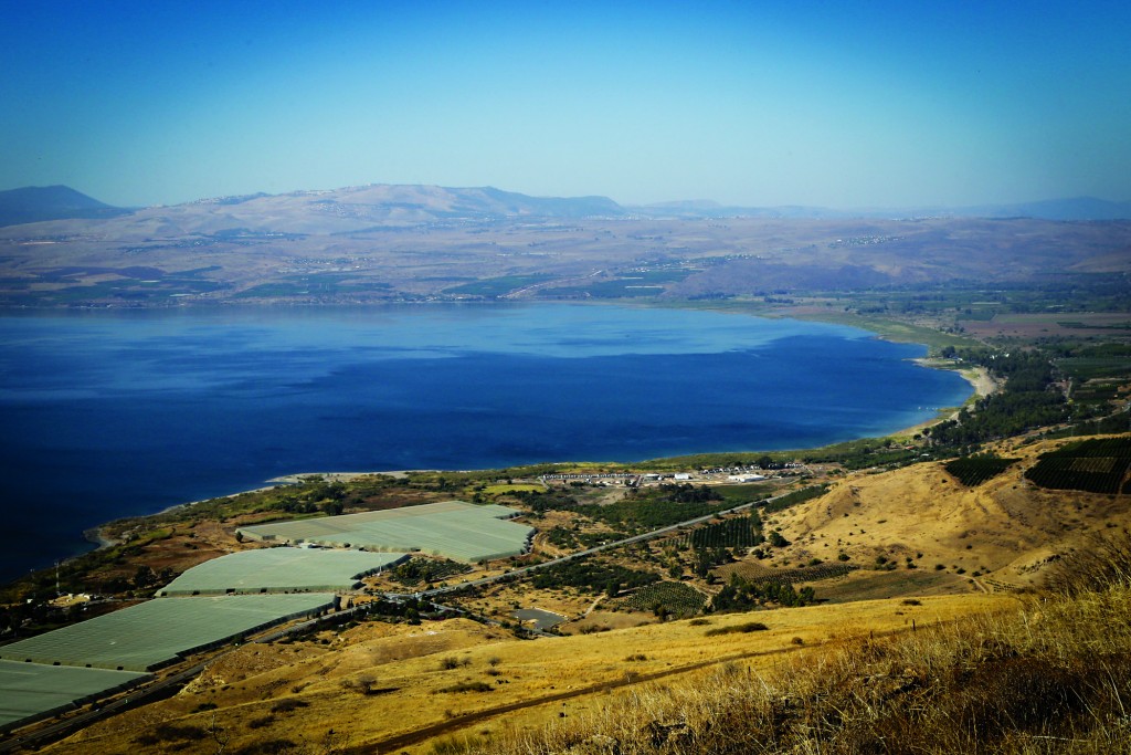 טיול שנתי לרמת הגולן כיתות י”א 2018 by tal ray - Illustrated by   טל ריימונד רעות אלענקרי - Ourboox.com