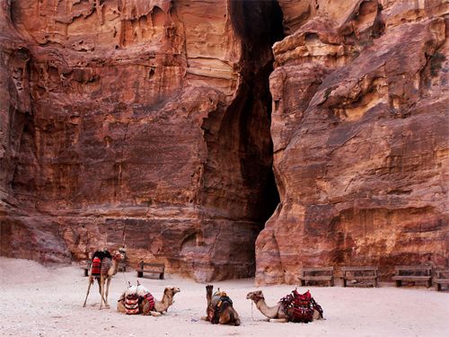 תיק 2020 by shmuel ungar - Illustrated by  שמואל אונגר - Ourboox.com