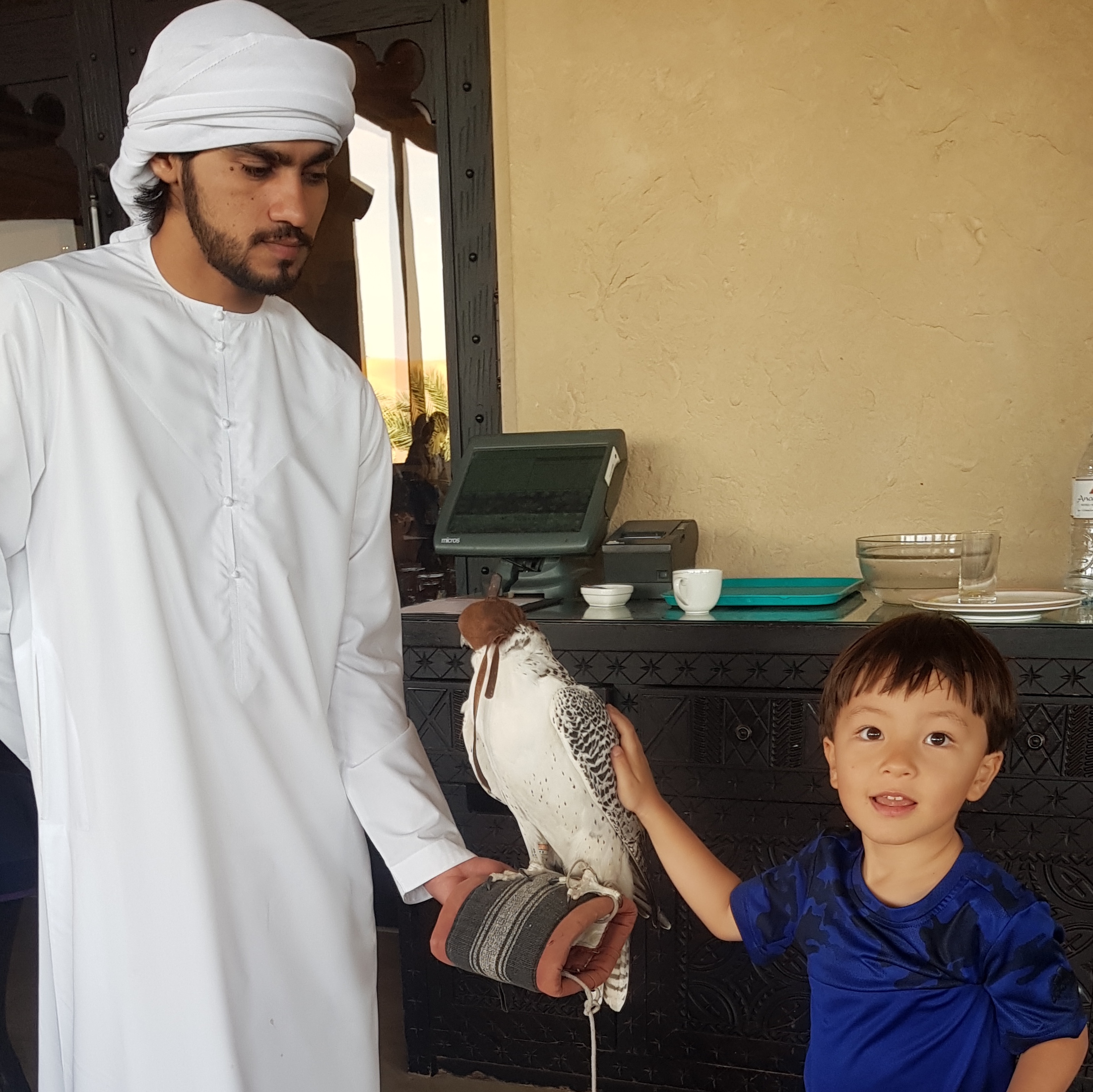 Dylan Goes to Abu Dhabi by Michael Jones - Ourboox.com