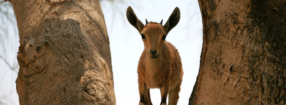 טיול שנתי כיתה יא by noy skop - Ourboox.com