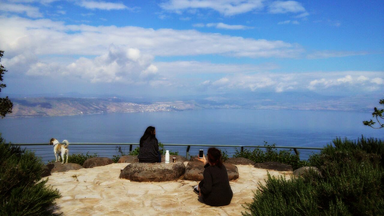 טיול רמת הגולן by adi sabag - Illustrated by מפרט טיול רמת הגולן - Ourboox.com