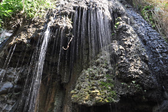 טיול רמת הגולן by adi sabag - Illustrated by מפרט טיול רמת הגולן - Ourboox.com