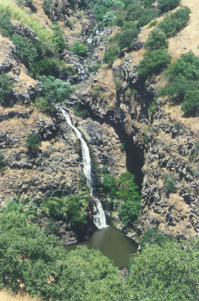 טיול שנתי לשכבת י”א – רמת הגולן by EDENBALAS - Ourboox.com