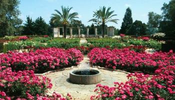 טיול שנתי by reut - Ourboox.com