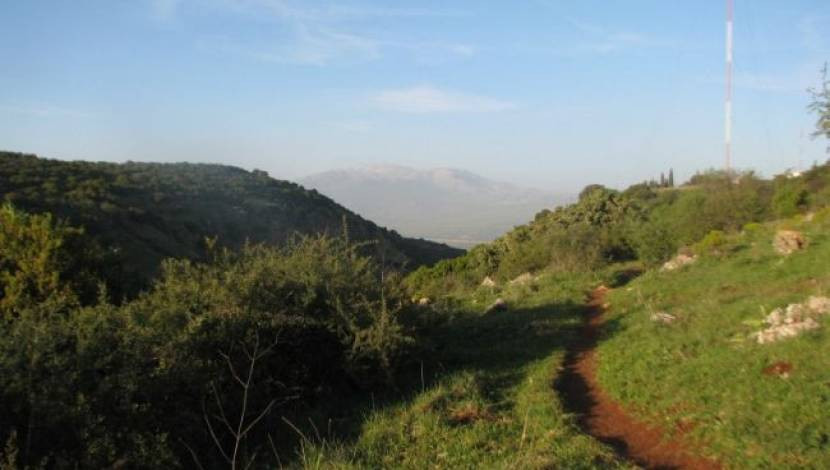 טיול שנתי לשכבת י”א – רמת הגולן by EDENBALAS - Ourboox.com