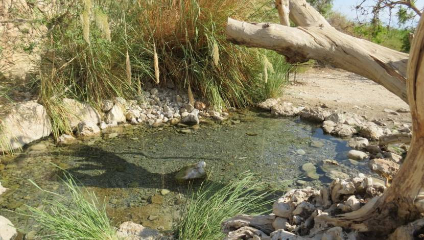 טיול שנתי לשכבת י”א by gal and lee - Ourboox.com