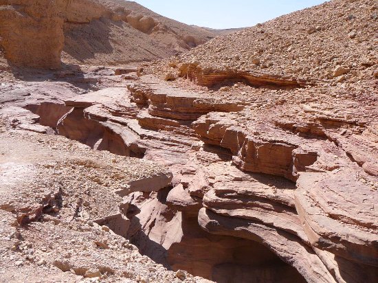 טיול שנתי לדרום כיתות יא by rotem fadlon - Illustrated by טיול שנתי כיתות יא - Ourboox.com