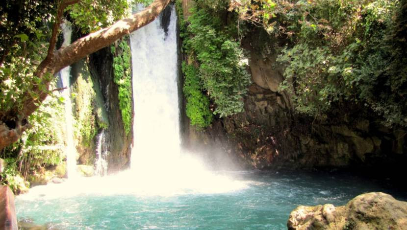 טיול שנתי לרמת הגולן כיתות י”א 2018 by tal ray - Illustrated by   טל ריימונד רעות אלענקרי - Ourboox.com