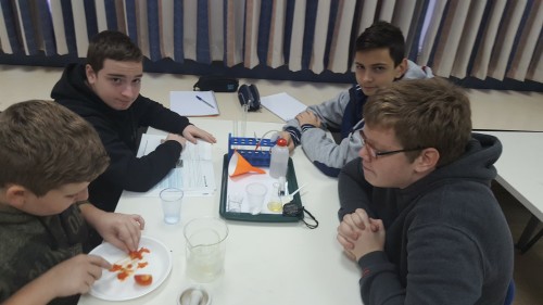 עיתון כיתתי by rachel barkan - Illustrated by גסיקה אוה וגיא - Ourboox.com