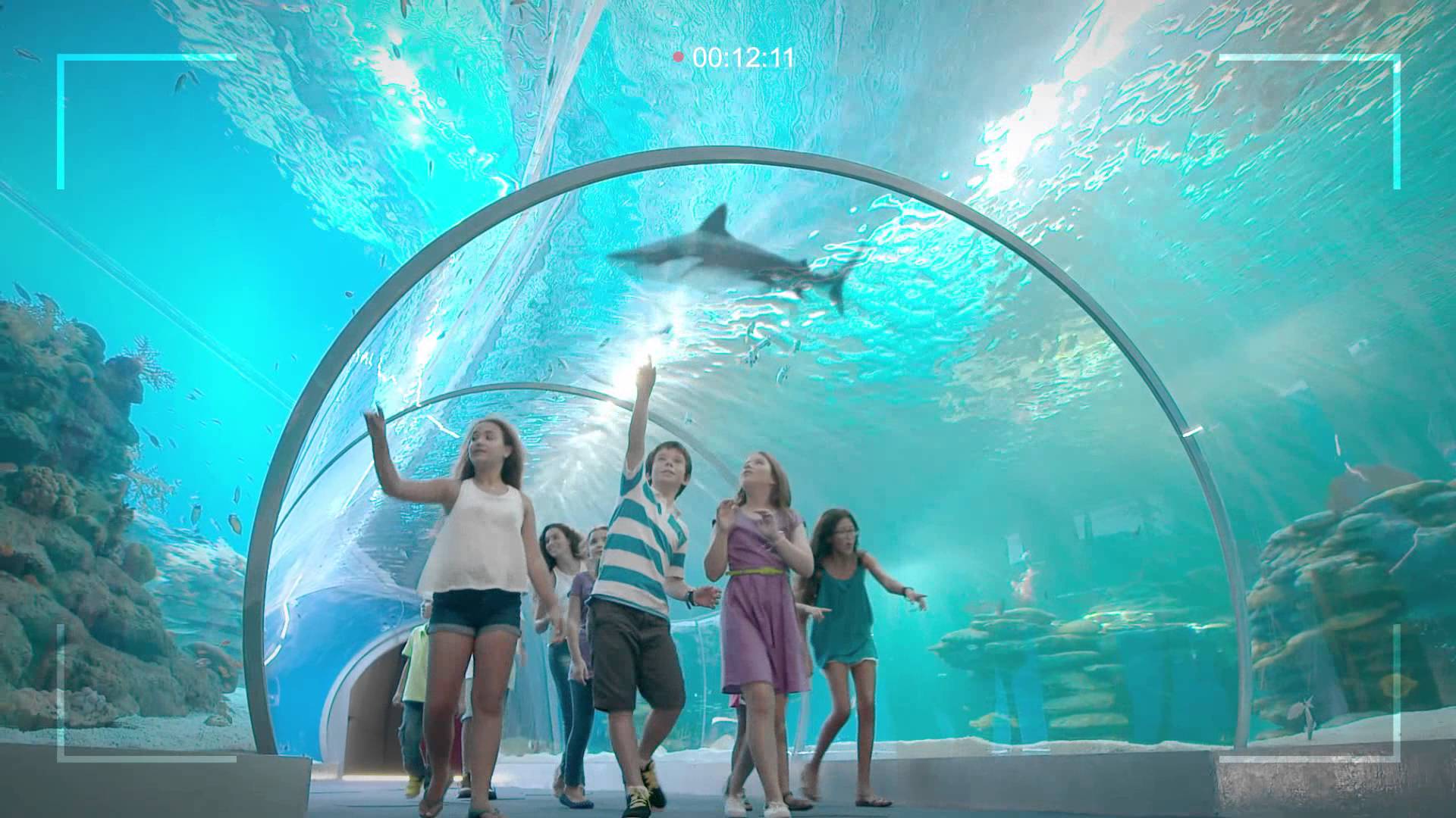 ספר הדרכה על מקומות : ספר זה מיועד לתלמידי כיתה י”א בתיכון אורנים, אשר יוצאים לטיול שנתי באילת. בספר תוכלו לראות את האתרים בהם נבקר בטיול, כולל מידע כללי על האתר. בנוסף תוכלו למצוא תמונות מרהיבות על המקומות שנטייל בהם by sara - Illustrated by שירן ושרה. - Ourboox.com