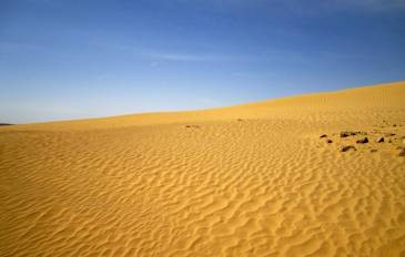 ספר הדרכה על מקומות : ספר זה מיועד לתלמידי כיתה י”א בתיכון אורנים, אשר יוצאים לטיול שנתי באילת. בספר תוכלו לראות את האתרים בהם נבקר בטיול, כולל מידע כללי על האתר. בנוסף תוכלו למצוא תמונות מרהיבות על המקומות שנטייל בהם by sara - Illustrated by שירן ושרה. - Ourboox.com