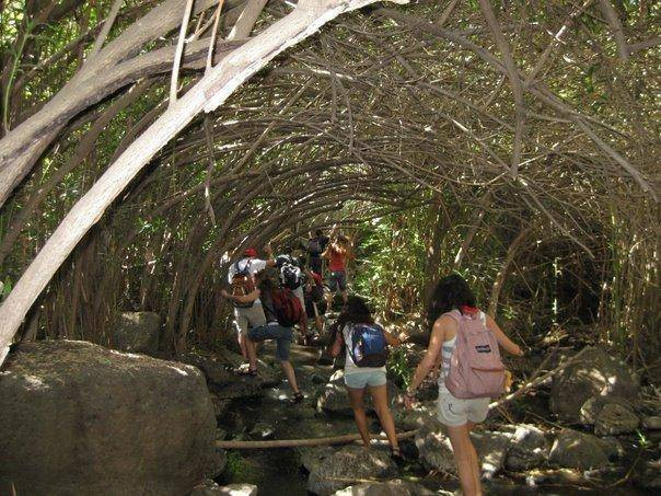 טיול שנתי שכבת י”א – רמת הגולן וסביבתו by AYALA - Ourboox.com