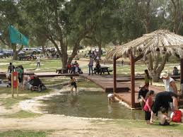 טיול שנתי שכבת י”א – רמת הגולן וסביבתו by AYALA - Ourboox.com