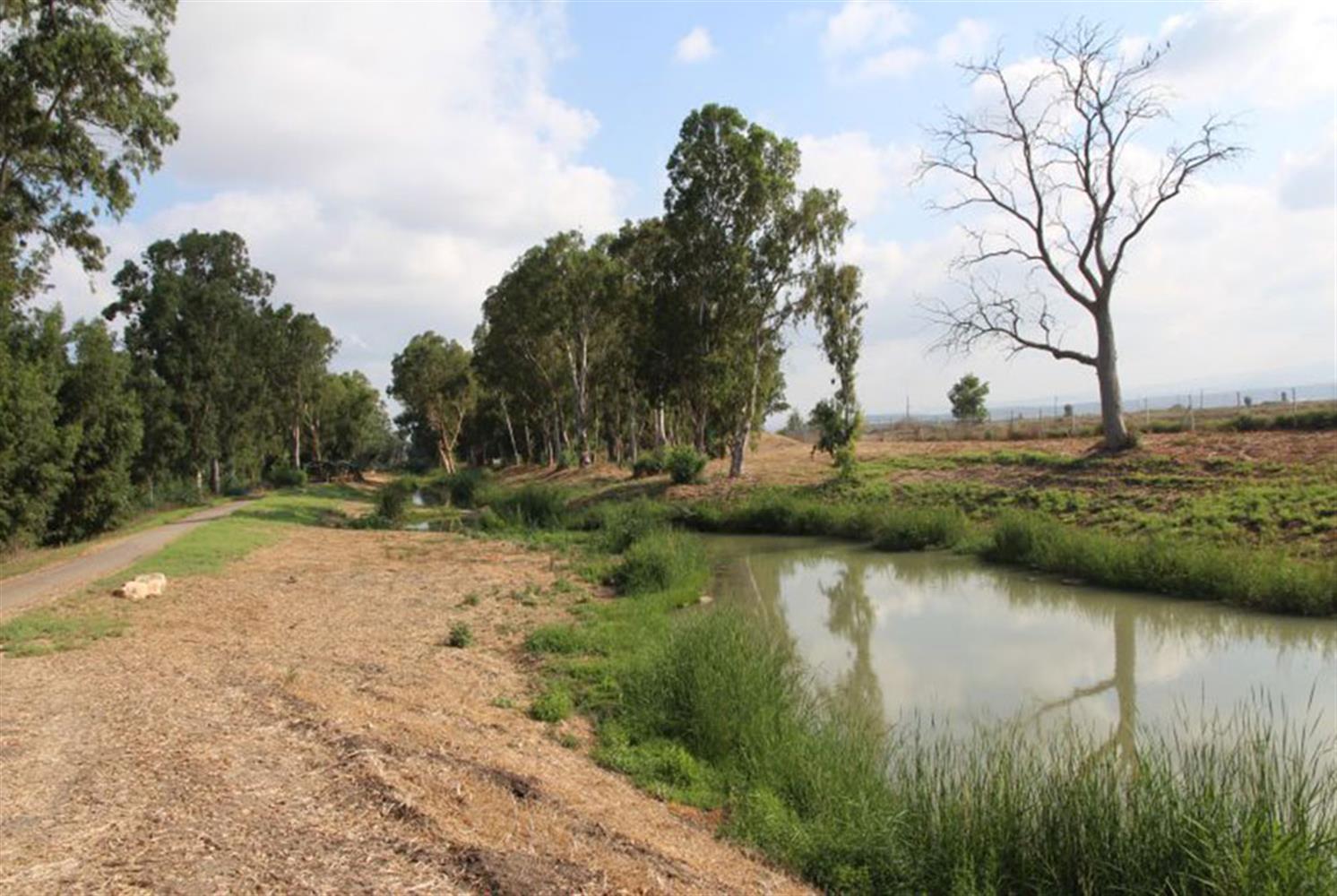 טיול שנתי שכבת י”א – רמת הגולן וסביבתו by AYALA - Ourboox.com