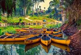 טיול שנתי כיתות י”א – רמת הגולן והסביבה by zahava - Ourboox.com