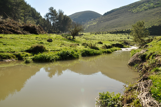 טיול בגליל העליון by naorei - Illustrated by אתי סעדה ונהורי יעקוב - Ourboox.com