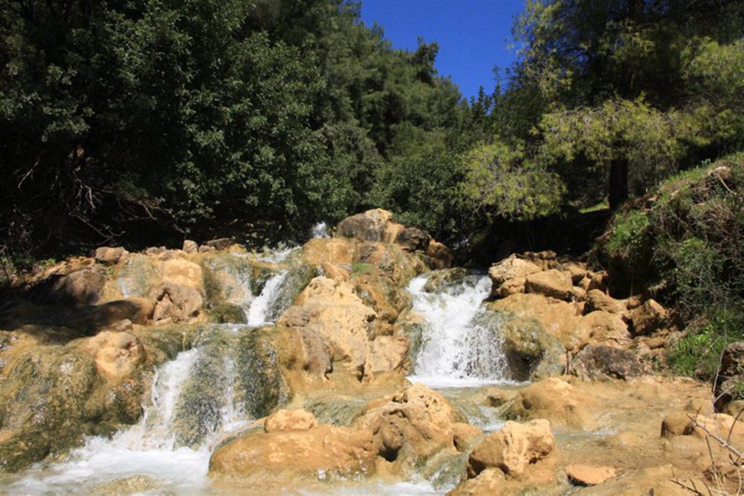 טיול בגליל העליון by naorei - Illustrated by אתי סעדה ונהורי יעקוב - Ourboox.com