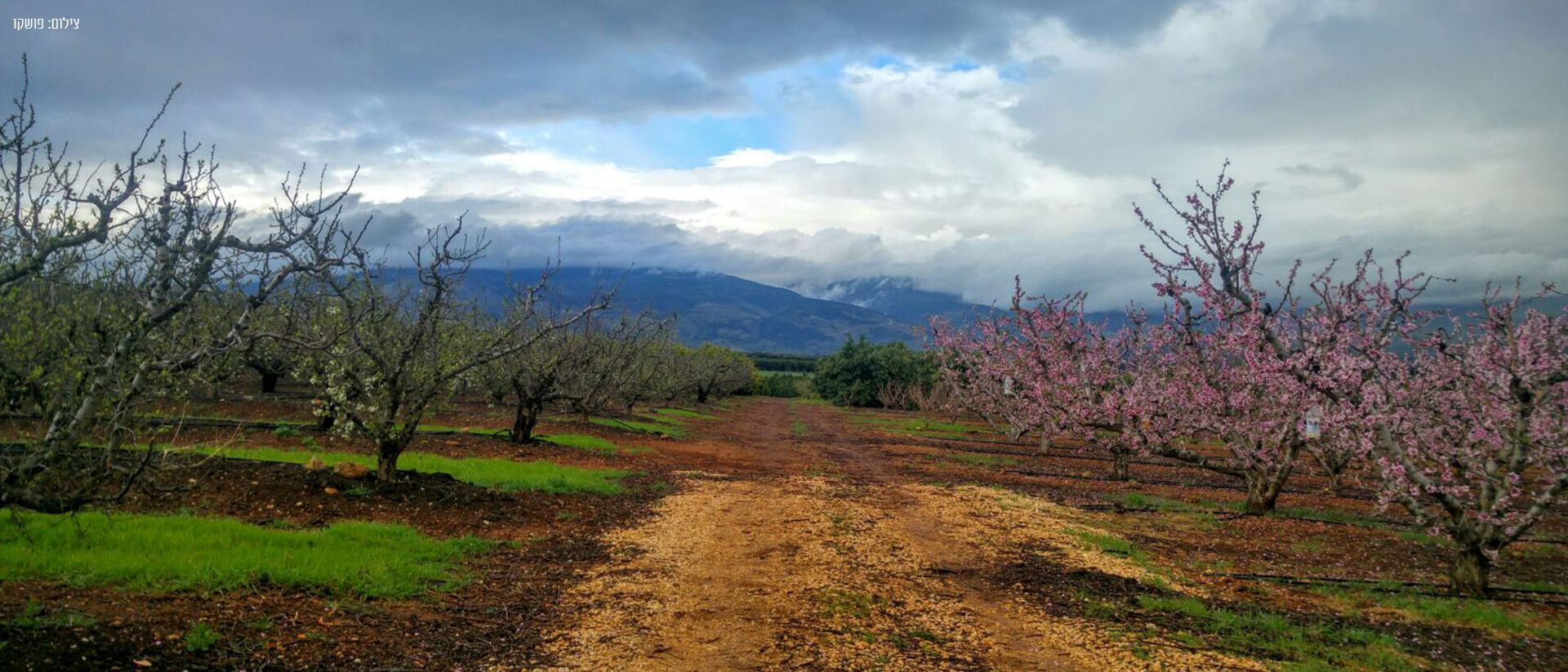 טיול בגליל העליון by naorei - Illustrated by אתי סעדה ונהורי יעקוב - Ourboox.com