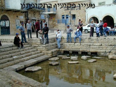 טיול בגליל העליון by naorei - Illustrated by אתי סעדה ונהורי יעקוב - Ourboox.com