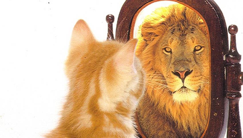 I Processi Cognitivi: Memoria, Linguaggio e Intelligenza by monica - Ourboox.com