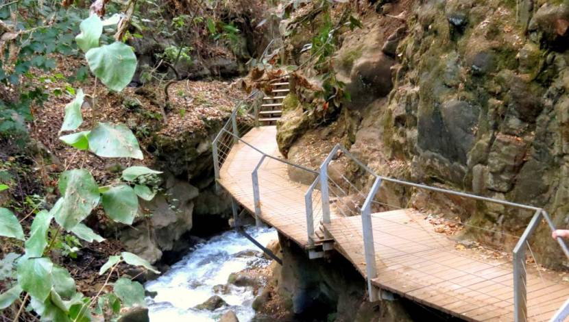 טיול שנתי שכבת י”א by mohamad jaber - Ourboox.com