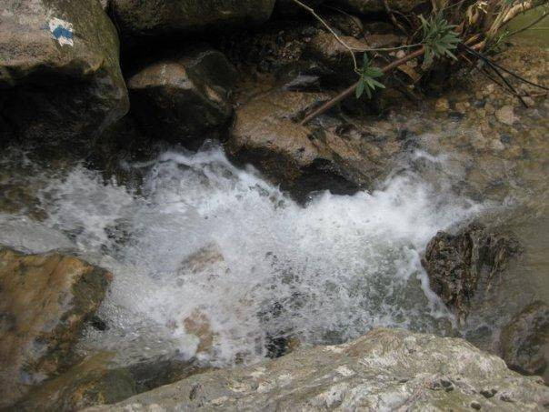 טיול שנתי שכבת י”א by mohamad jaber - Ourboox.com