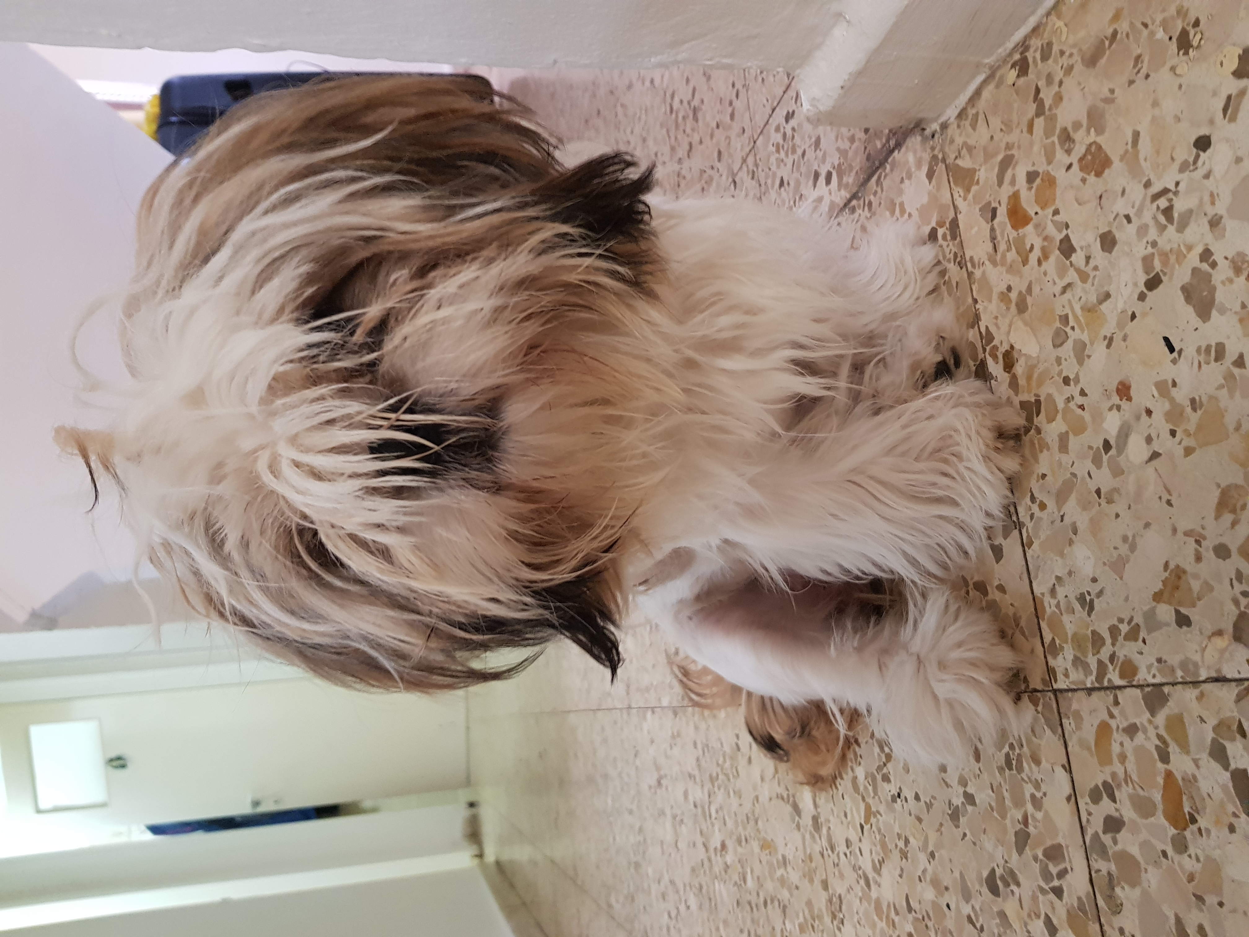 My book- Daniel narvona by daniel narvona - Ourboox.com