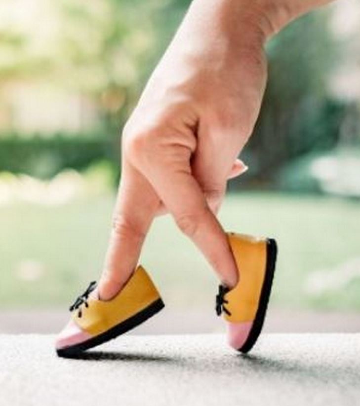 ספר היחידה – הוראה דיפרנציאלית המקדמת למידה by rachel - Illustrated by קולן ורחל - Ourboox.com