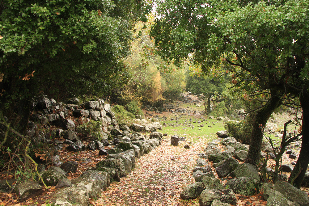 טיול שנתי שכבת י”א – רמת הגולן וסביבתו by AYALA - Ourboox.com