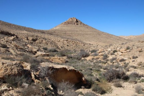 יומן המסע שלי – “בורות” by tair ora - Ourboox.com