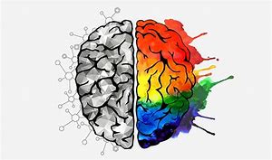 I processi cognitivi: memoria, pensiero,linguaggio e intelligenza. by Fede - Ourboox.com