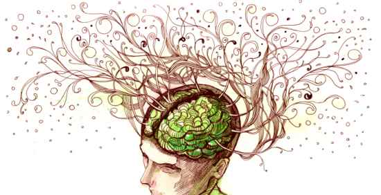 I processi cognitivi by giulia - Illustrated by Giulia - Ourboox.com