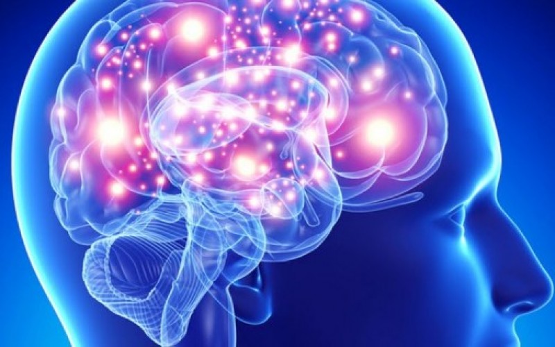 i processi cognitivi:memoria,linguaggio,pensiero , ragionamento e intelligenza by MAROUANE - Ourboox.com