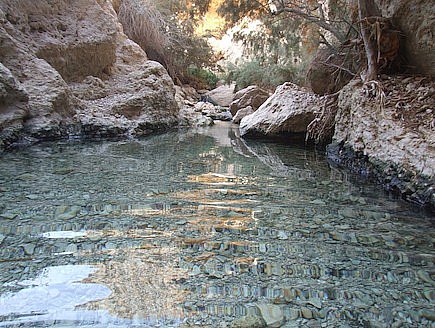 טיול שנתי מדבר יהודה by MICHAL - Illustrated by מיכל זולוטורב - Ourboox.com