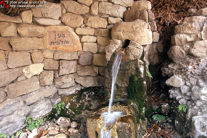 טיול שנתי מדבר יהודה by MICHAL - Illustrated by מיכל זולוטורב - Ourboox.com