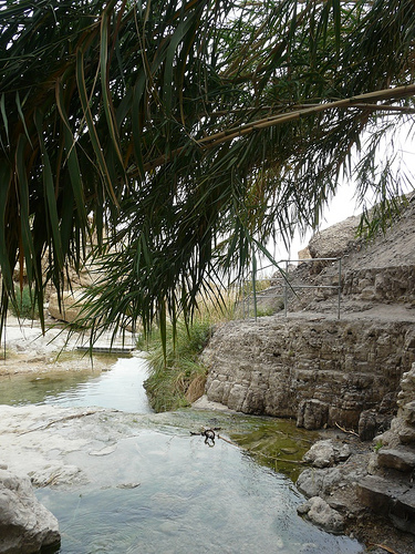 טיול שנתי מדבר יהודה by MICHAL - Illustrated by מיכל זולוטורב - Ourboox.com