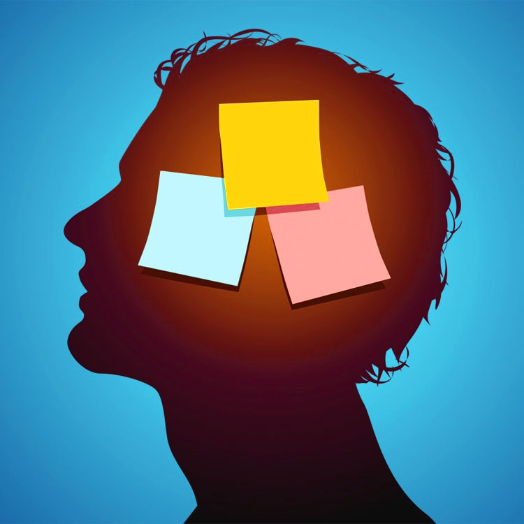 I processi cognitivi: memoria, linguaggio e intelligenza by Giulia - Ourboox.com