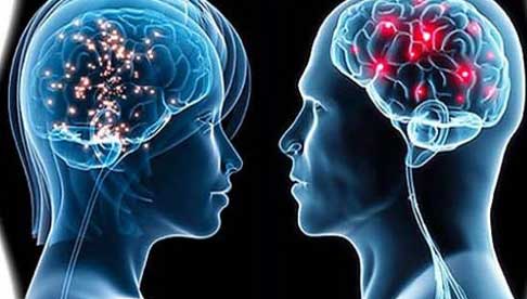 i processi cognitivi:memoria,linguaggio,pensiero , ragionamento e intelligenza by MAROUANE - Ourboox.com