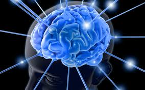 i processi cognitivi:memoria,linguaggio,pensiero , ragionamento e intelligenza by MAROUANE - Ourboox.com