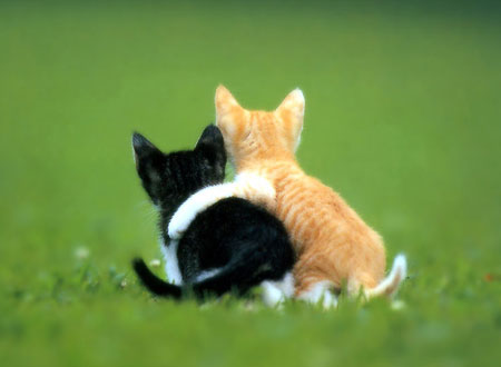 Дружба – найцінніший скарб by Lesia Popil - Ourboox.com