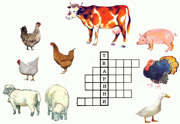 “Учітесь, читайте, і чужому научайтесь, й свого не цурайтесь…” by Maria - Ourboox.com