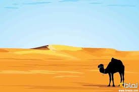 صور و معلومات عن الجمل by adam - Ourboox.com