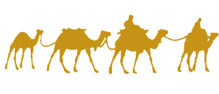 صور و معلومات عن الجمل by adam - Ourboox.com