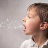 Alcuni processi cognitivi: memoria, linguaggio, pensiero ed intelligenza by Gaia Cupitò - Ourboox.com