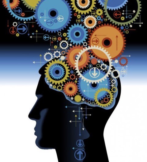 I processi cognitivi by giulia - Illustrated by Giulia - Ourboox.com