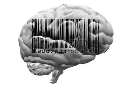 I processi cognitivi: memoria, linguaggio e intelligenza by Giulia - Ourboox.com
