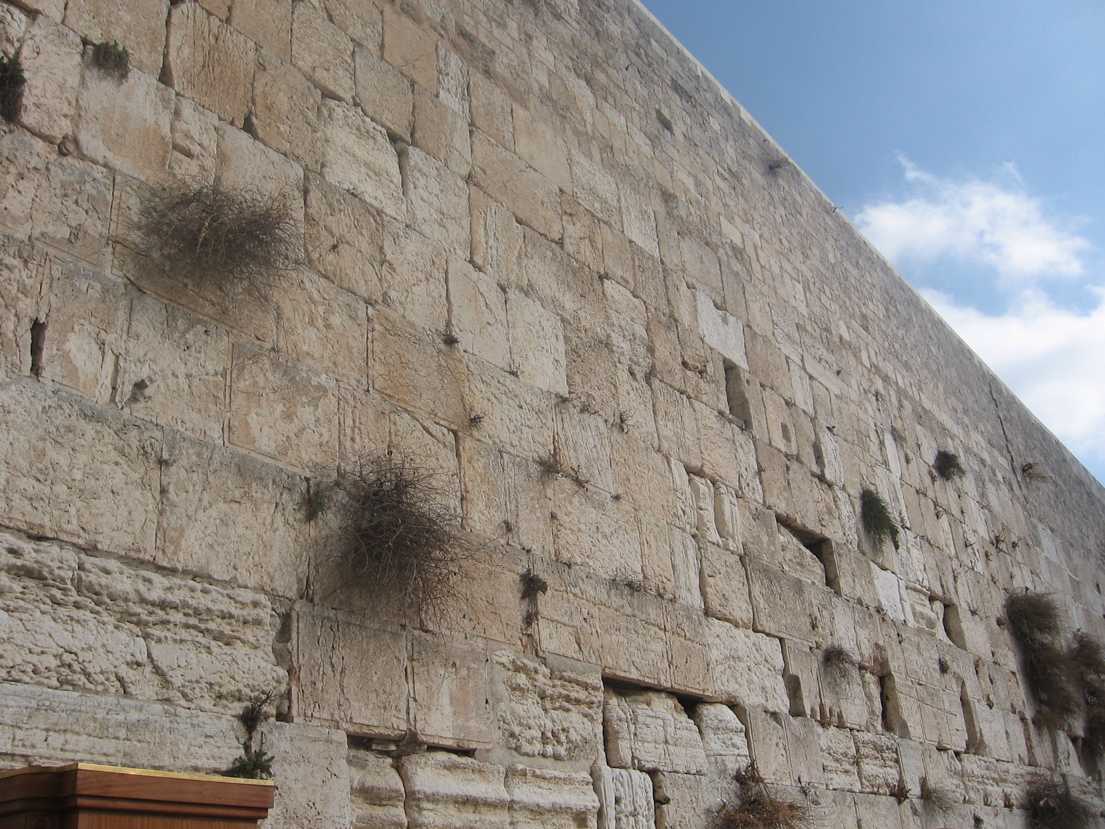 שם הסיפור by chaya - Illustrated by חיה מוזיקנט - Ourboox.com