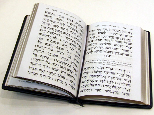 האבידה המרגשת by emuna - Illustrated by אמונה טהר - Ourboox.com